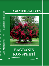 Bağbanın konspekti
